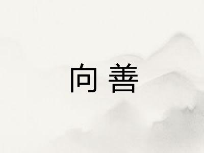 向善