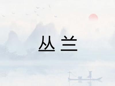 丛兰