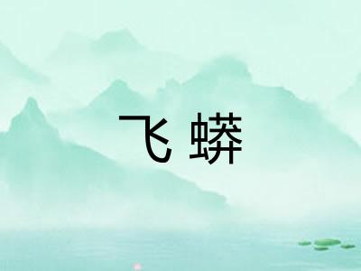 飞蟒
