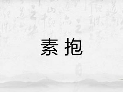 素抱
