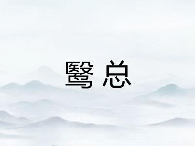 鹥总