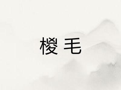 椶毛