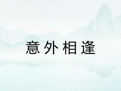 意外相逢