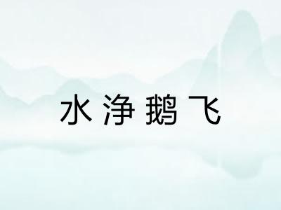 水浄鹅飞