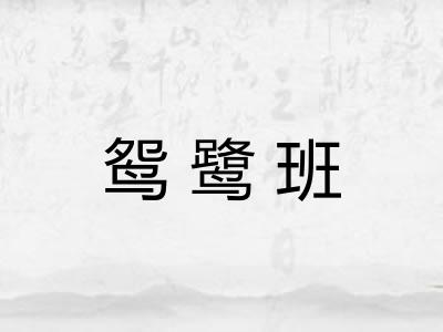 鸳鹭班