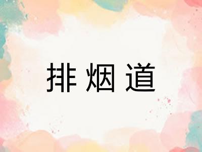 排烟道