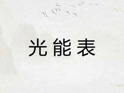 光能表