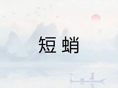 短蛸