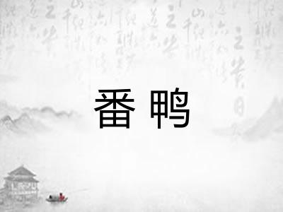 番鸭