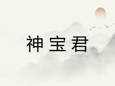 神宝君