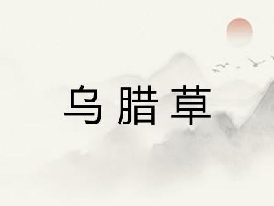 乌腊草