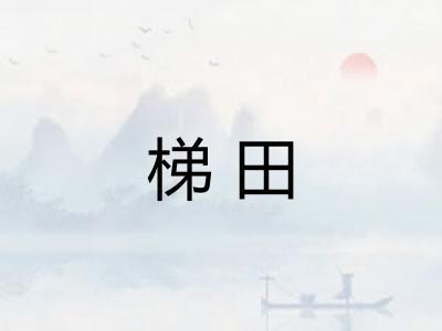 梯田