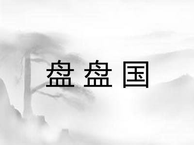 盘盘国