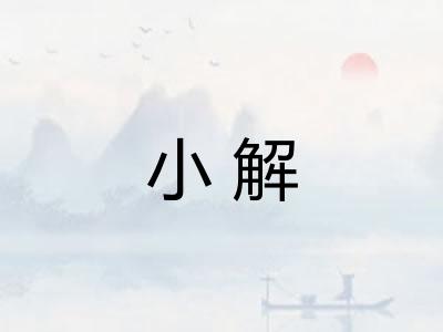小解