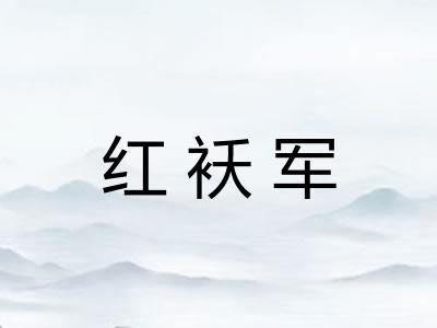 红袄军