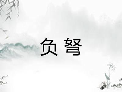 负弩