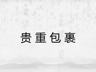 贵重包裹