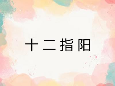 十二指阳
