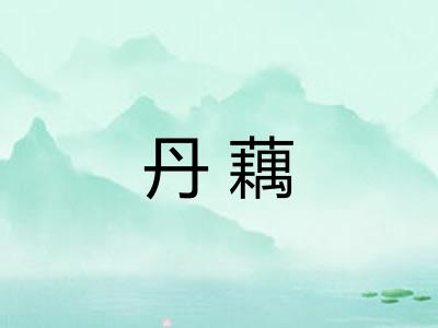 丹藕