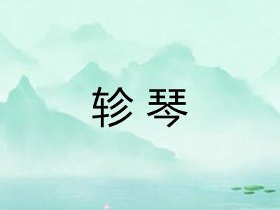 轸琴