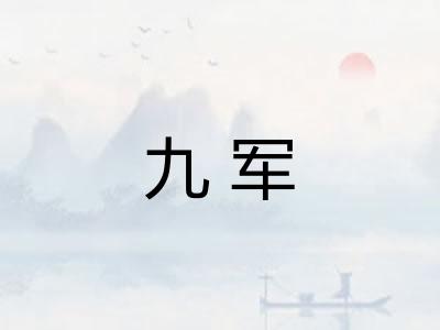 九军