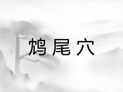 鸩尾穴