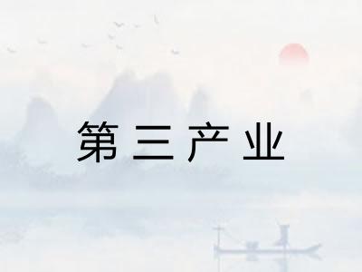 第三产业