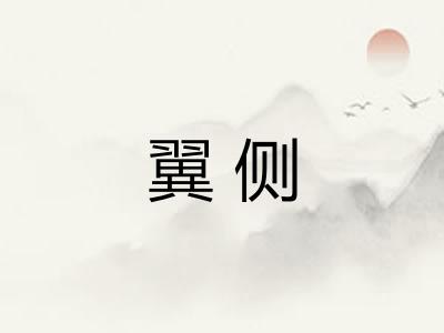 翼侧