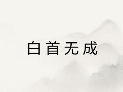 白首无成