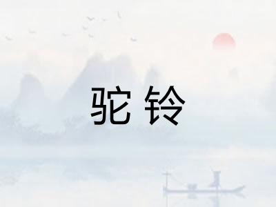 驼铃