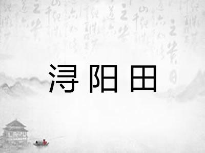 浔阳田