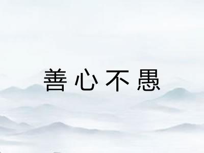 善心不愚