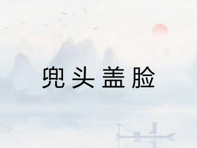 兜头盖脸