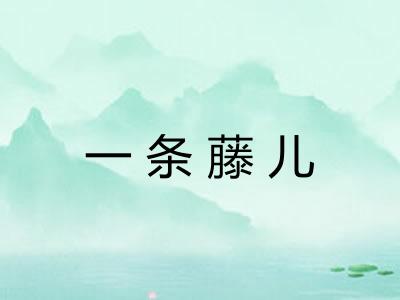 一条藤儿