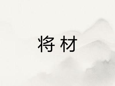 将材