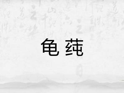 龟莼