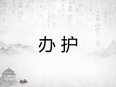 办护