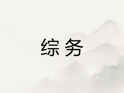 综务