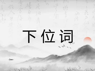 下位词
