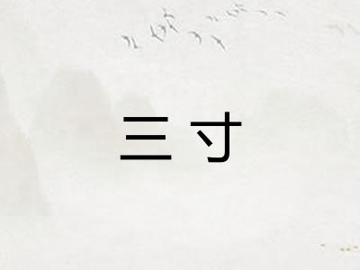 三寸