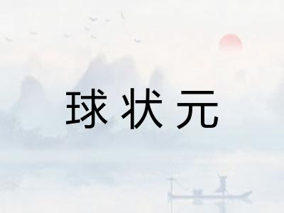 球状元
