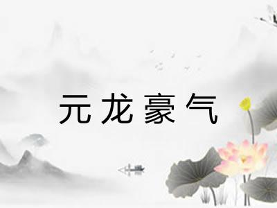 元龙豪气
