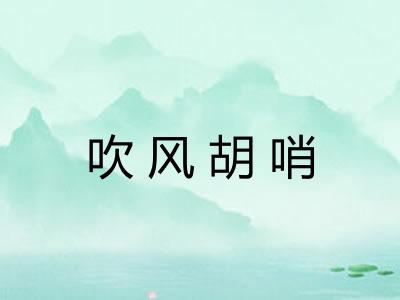 吹风胡哨
