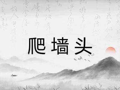 爬墙头