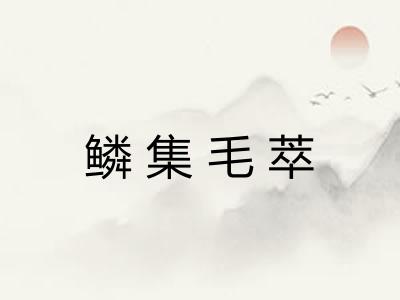 鳞集毛萃
