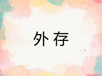 外存