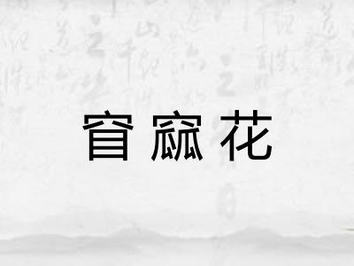 窅窳花