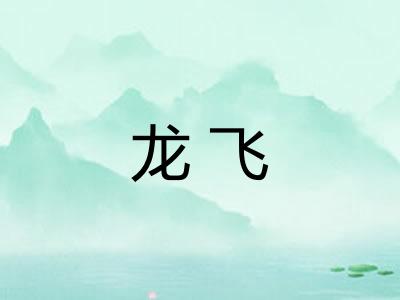 龙飞