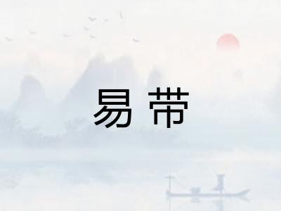 易带