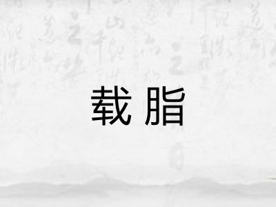 载脂